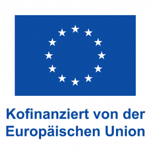 DE V Kofinanziert von der Europäischen Union_PANTONE